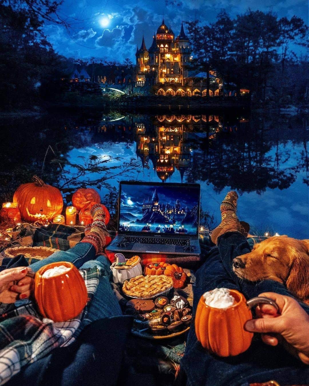 Discover Earthさんのインスタグラム写真 - (Discover EarthInstagram)「How was your Halloween ? 🎃 Did you had a cozy one ? A crazy one ? A stay-at-home one ? 🇺🇸 #discoverConnecticut with @kjp   . . . . . #halloween  #horror  #pumpkin  #spooky  #scary  #halloweenmakeup  #creepy  #october  #trickortreat  #halloween2016  #horrormovies  #halloweencostume  #witch  #costume  #horrorfan  #gore  #pumpkins  #horrormovie  #nightmarebeforechristmas  #instahorror  #michaelmyers ​#connecticu  #ctvisit ​#explorec ​#connecticutgra  #newengland  #yankeemagazine ​#newhave」11月3日 1時31分 - discoverearth