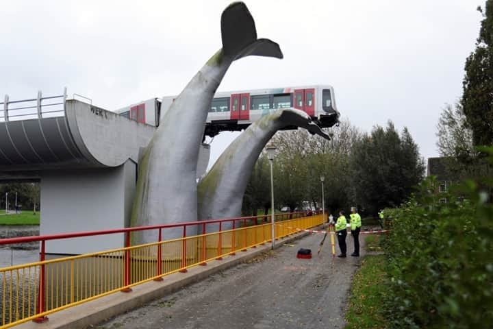 NBC Newsさんのインスタグラム写真 - (NBC NewsInstagram)「A metro train crashed through a stop block Monday, in Spijkenisse, Netherlands, landing on artwork of a whale tail. No one was injured as the sculpture stopped the train from plunging into the nearby river.⁠ ⁠ 📷 Eva Plevier / @reuters」11月3日 2時32分 - nbcnews