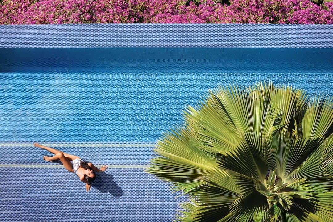 Trump Waikikiさんのインスタグラム写真 - (Trump WaikikiInstagram)「Are you a Trump Card Privileges member yet? Join now to gain access to exclusive offers, special member benefits, and the ability to earn points on qualified stays. Link in bio.」11月3日 2時35分 - trumpwaikiki