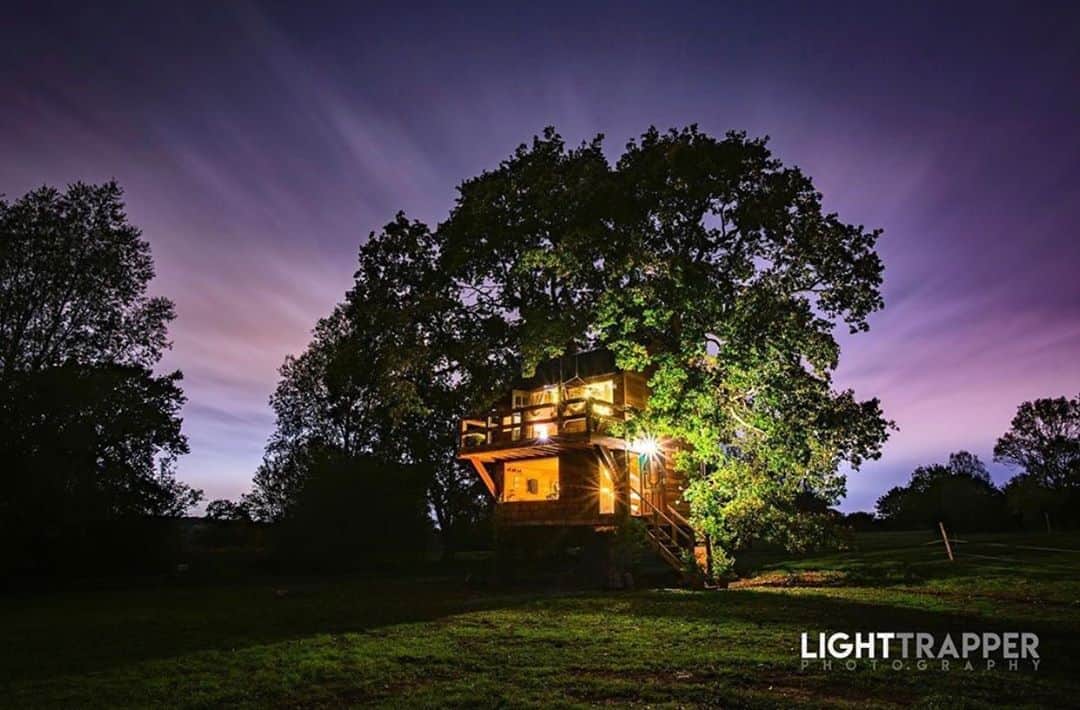 My Interiorさんのインスタグラム写真 - (My InteriorInstagram)「A little taster of ‘The Old Oak’. A stunning Cedar clad two storey treehouse set within a magnificent 500 year old English Oak.   Location: @colemansfarm Essex, UK  #luxuryglamping #treehouse #nature #theoldoakatcolemans #amazingspaces #ruralretreat #escapelondon #cabinsatcolemans  Photography by rob @lighttrapper_photography」11月3日 7時27分 - myinterior