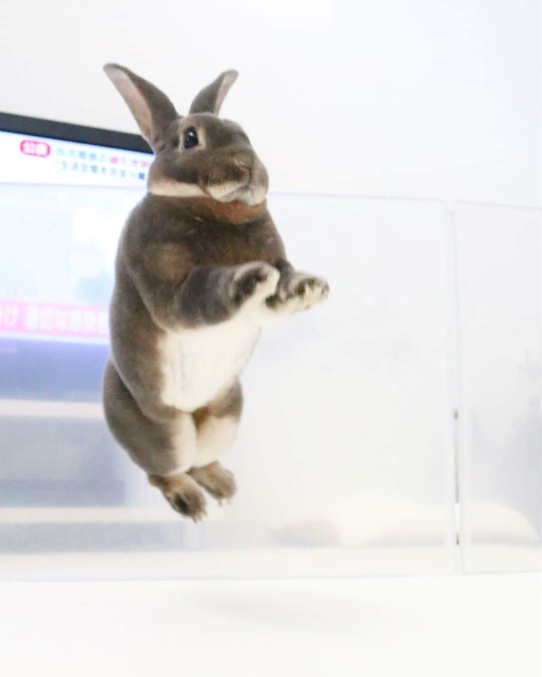 Kayoのインスタグラム：「今日も4時からハッスルあざーす！」