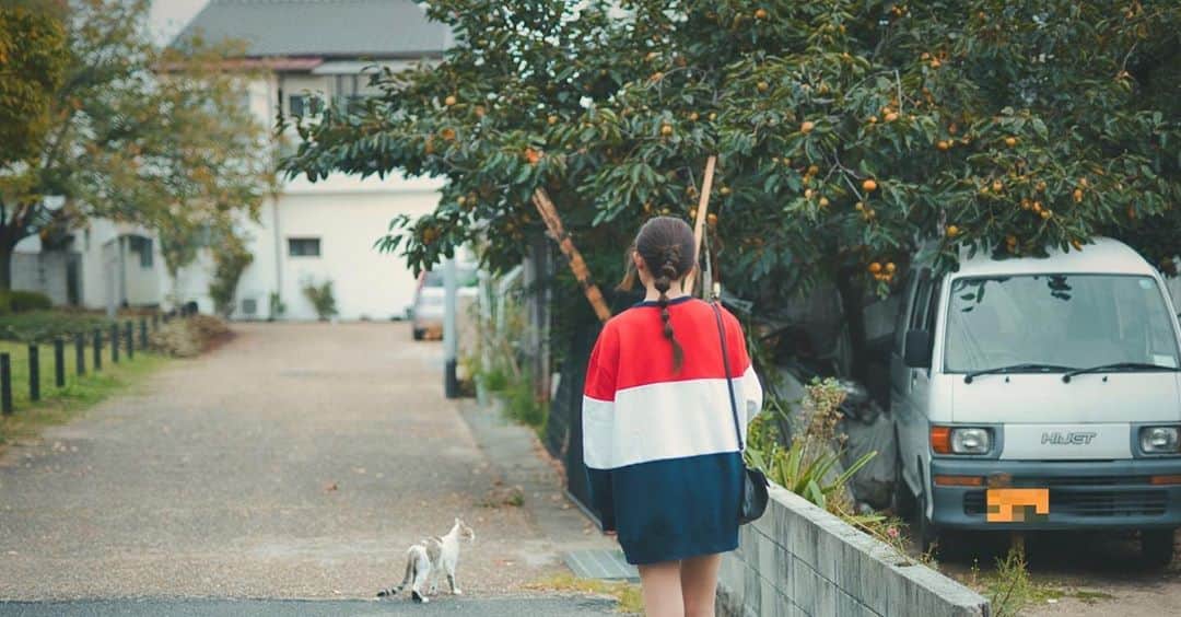 𝐊𝐚𝐤𝐢𝐠𝐢𝐅𝐮𝐤𝐚のインスタグラム：「． ． 猫がいっぱいの島に行きたい🐾😌 ． ． ． ． ． #陽だまりの彼女」