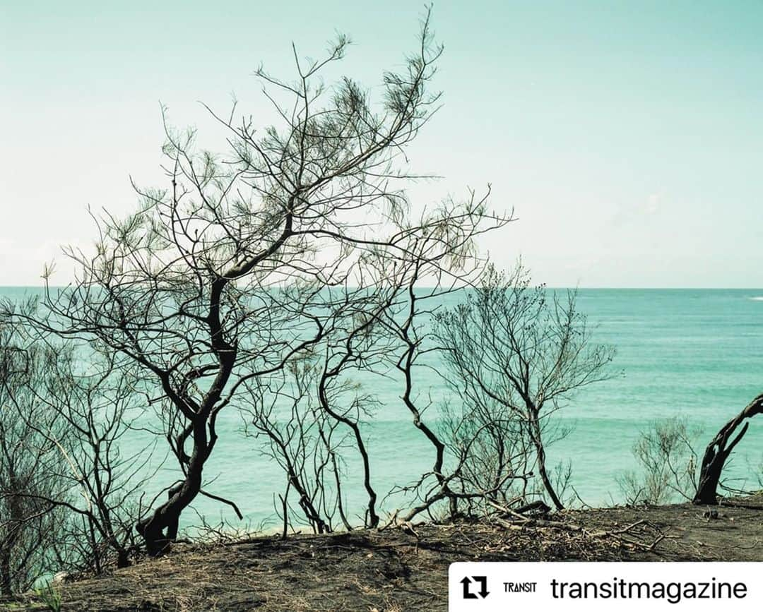 柏田テツヲさんのインスタグラム写真 - (柏田テツヲInstagram)「@transitmagazine  【未来に残したい風景】『消えゆく世界特集』発売中。2019年秋から2020年春にかけておきた史上最悪のオーストラリアの森林火災。もっとも激しいときには海まで火が押し寄せていたという。火事がなければ丘の木々の間から眺める海が最高だったはずだ。 Photo by @tetsuokashiwada ‪#未来に残したい風景 #TRANSIT49 #美しき消えゆく世界への旅 #WWFandTRANSIT #TRANSIT #TRANSITmagazine #トランジット #travel #trip #australia #forestfire」11月3日 19時05分 - tetsuokashiwada