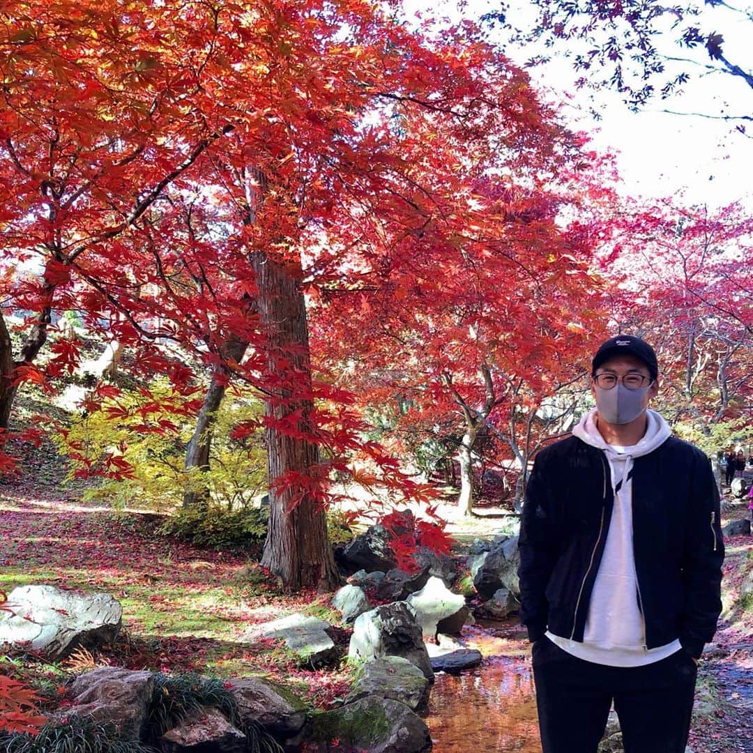 のインスタグラム：「エモい🍁 #紅葉 #カッコーの森エコーランド #南郷 #青森県」