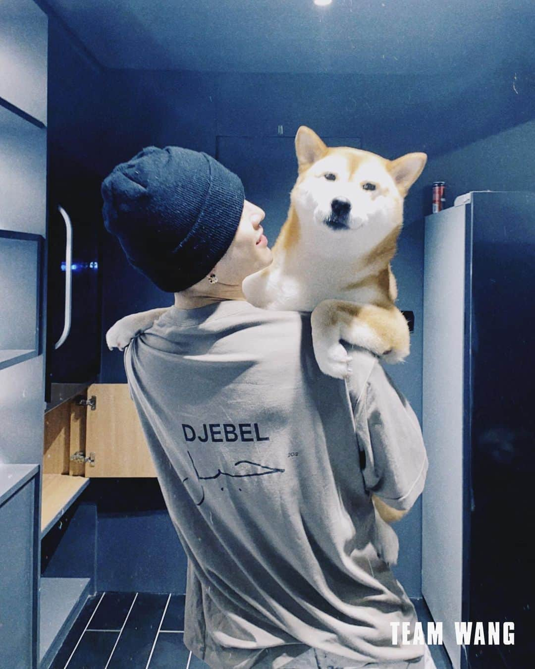 ジャクソンさんのインスタグラム写真 - (ジャクソンInstagram)「🥺Monroe @shiba_lulu ❤️」11月3日 17時57分 - jacksonwang852g7