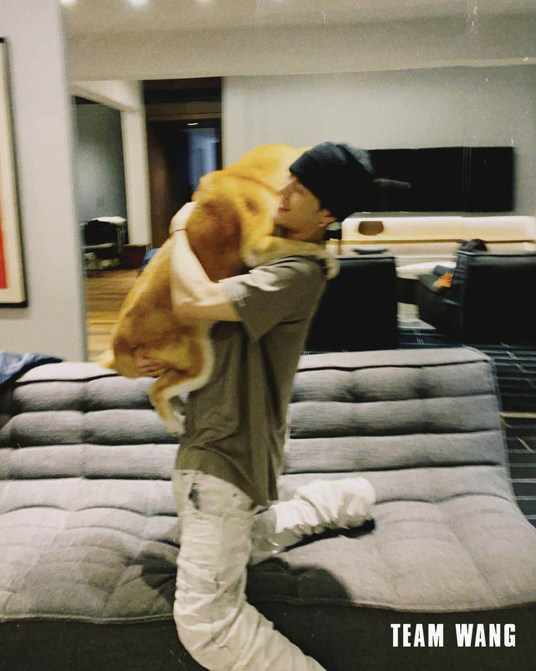 ジャクソンさんのインスタグラム写真 - (ジャクソンInstagram)「🥺Monroe @shiba_lulu ❤️」11月3日 17時57分 - jacksonwang852g7