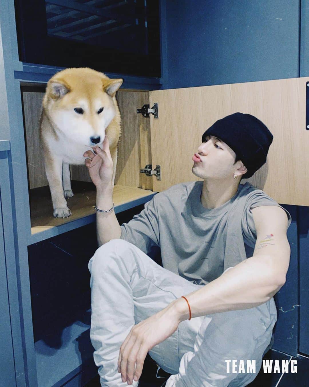 ジャクソンのインスタグラム：「🥺Monroe @shiba_lulu ❤️」