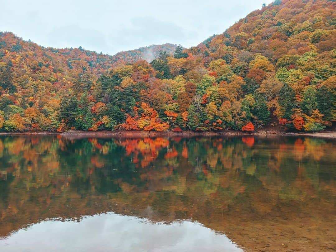 Hairmake Shinoさんのインスタグラム写真 - (Hairmake ShinoInstagram)「奥日光 西ノ湖 ． 誰もいない空間で 紅葉を一人占め🍁 ． ． 生憎のお天気でしたが 雨の音と たまに聞こえる鳥のさえずりに 心癒される時間🌿🌿 ． ． ． #栃木#奥日光#旅行 #旅行好き女子 #日帰り旅行 #日光旅行  #紅葉#紅葉狩り #秘境#秘境巡り #東武日光#写真女子 #自然が好き #travelphotography #tripgram #japantravel #japan_photo #西ノ湖 #湖 #lakeside #travelpics」11月3日 18時36分 - hairmakeshino