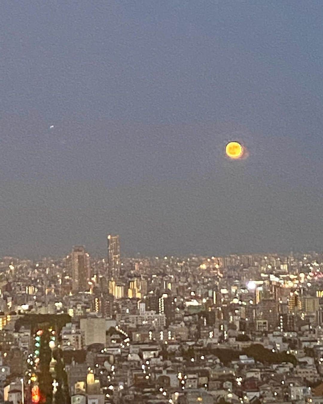 sachi♡さんのインスタグラム写真 - (sachi♡Instagram)「♡_  こんばんは🌙  先日GOTOを使って家族で神戸に行って来ました♡  ディナーはやっぱりな鉄板焼き🥩🍽  大好きなフォアグラも堪能して ヒマラヤの岩塩が美味しくて お肉に付けてお腹いっぱい食べたら 翌朝ありえないくらい目が浮腫んでいて💦  大切な日だったので本当に焦りました😂  ホテルのお部屋から見えたブルームーンが とっても綺麗な夜でした🌕  #gotoキャンペーン #gotoトラベルキャンペーン#gotoeatキャンペーン #家族旅行 #旅行 #神戸 #神戸ディナー #神戸グルメ #鉄板焼き #グルメな人と繋がりたい #きれいめコーデ #プチプラコーデ #ママコーデ #おちびコーデ #Sサイズコーデ #低身長コーデ #お洒落さんと繋がりたい #40代コーデ #50代コーデ #アラフォーコーデ #アラフィフコーデ #アラフィー #jマダムのおしゃれ #大人女子 #美魔女 #美容モデル #ミセスモデル #読者モデル」11月3日 18時51分 - nail_salon_felice04