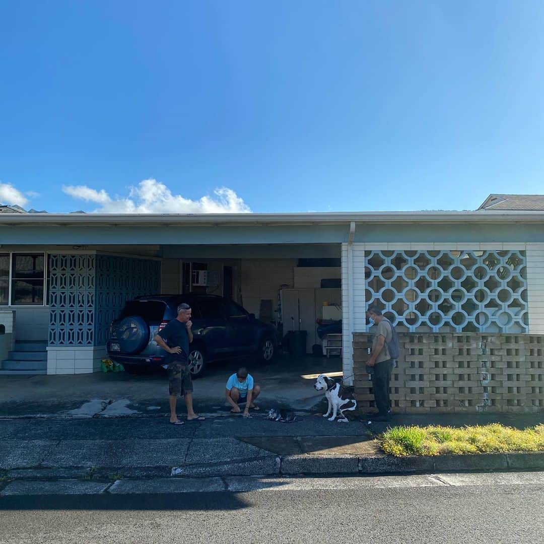 のインスタグラム：「おやつもらい🐶  #ハワイ #順番待ち #manoa #和むったらない #goodmorning  #hawaiistagram」