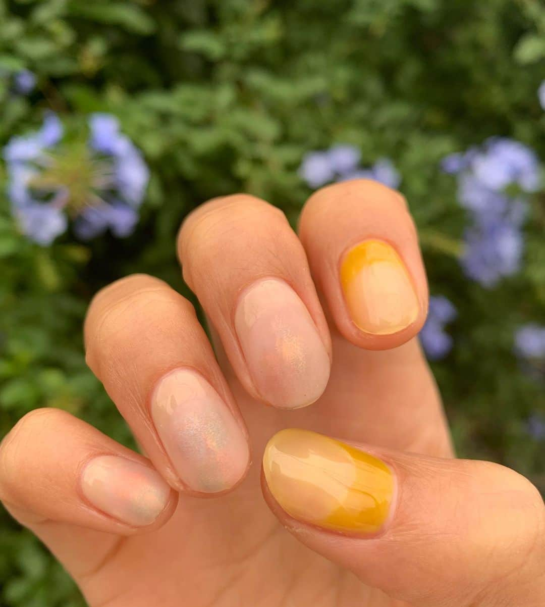 美優さんのインスタグラム写真 - (美優Instagram)「今月のNAIL💅✨﻿ ﻿ マットと艶感の交わった質感ネイル☺️﻿ 色味がお気に入り👍✨﻿ ﻿ ﻿ #マットネイル　#lapilie #ラピリー」11月3日 10時33分 - miyu11_20