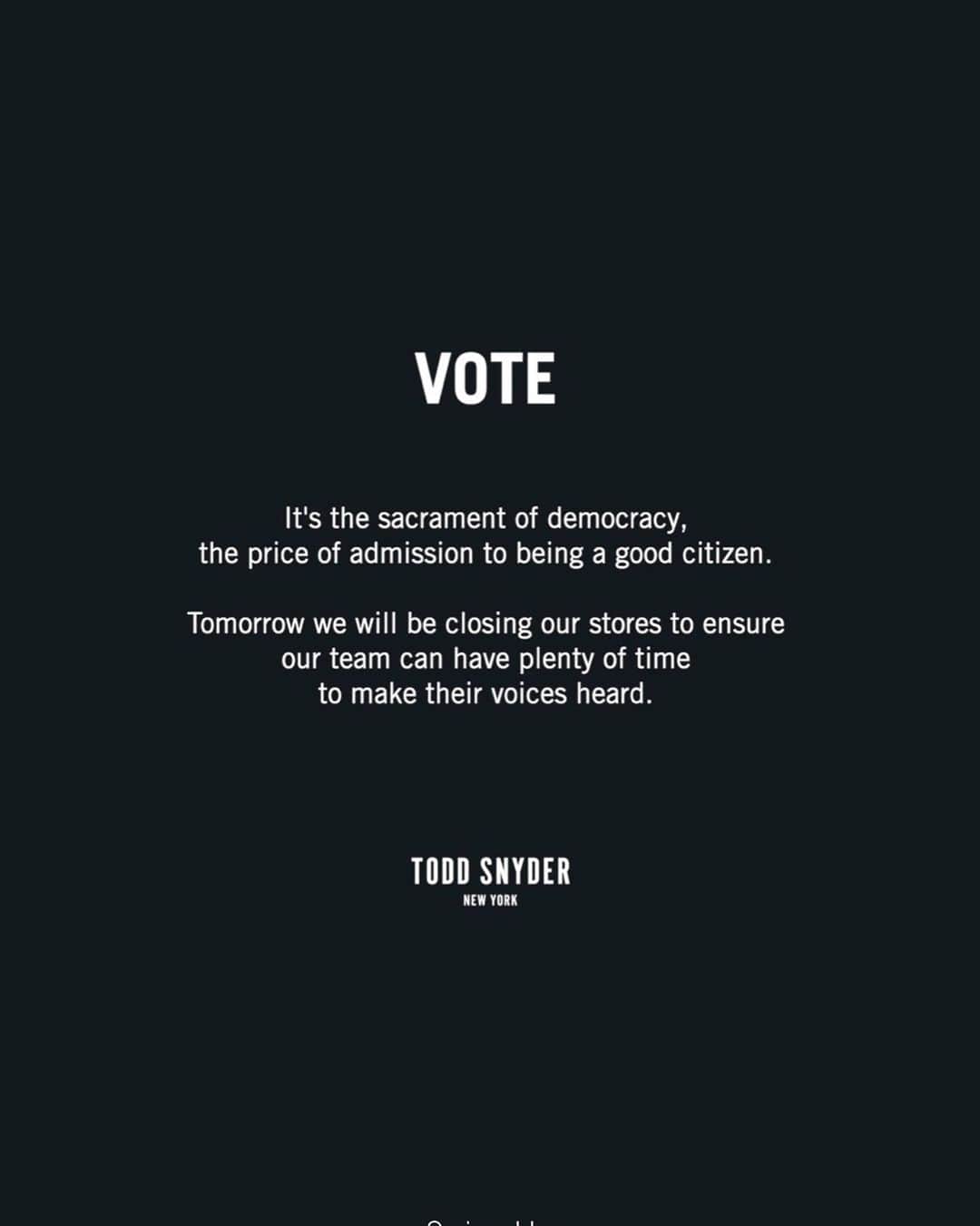 トッドスナイダーさんのインスタグラム写真 - (トッドスナイダーInstagram)「Tomorrow is Election Day. The vote is yours 🗳  #vote #toddsnyder」11月3日 10時34分 - toddsnyderny