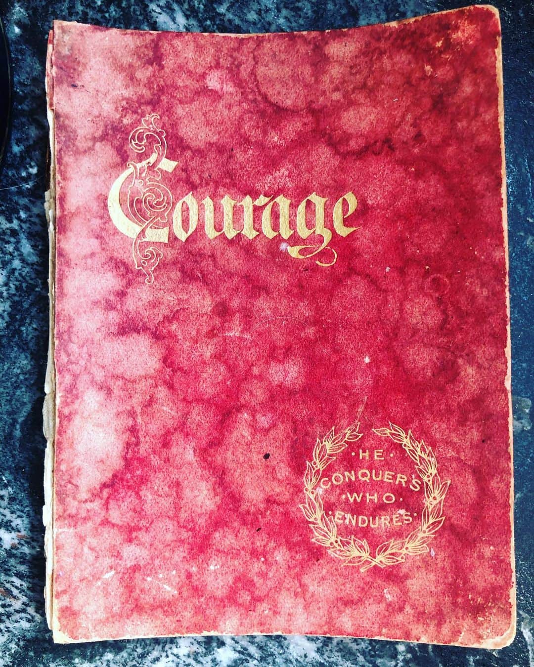 コンスタンス・ジマーのインスタグラム：「Courage: the ability to do something that frightens you. Voting shouldn’t frighten anyone, it should enliven you. Your VOTE matters. Your voice matters. YOU matter. If you haven’t voted yet, please do. Every single one of us can bring about change. Don’t abstain from voting because you are undecided. Decide to take part, otherwise you can’t complain when the world gets worse because it’s being lead by someone who doesn’t care about anyone else except himself. Care about yourself, your friends, your family, your planet, your life, your rights and #VOTE like all of that depends on it, because it does. We are all courageous. #voteforchange」