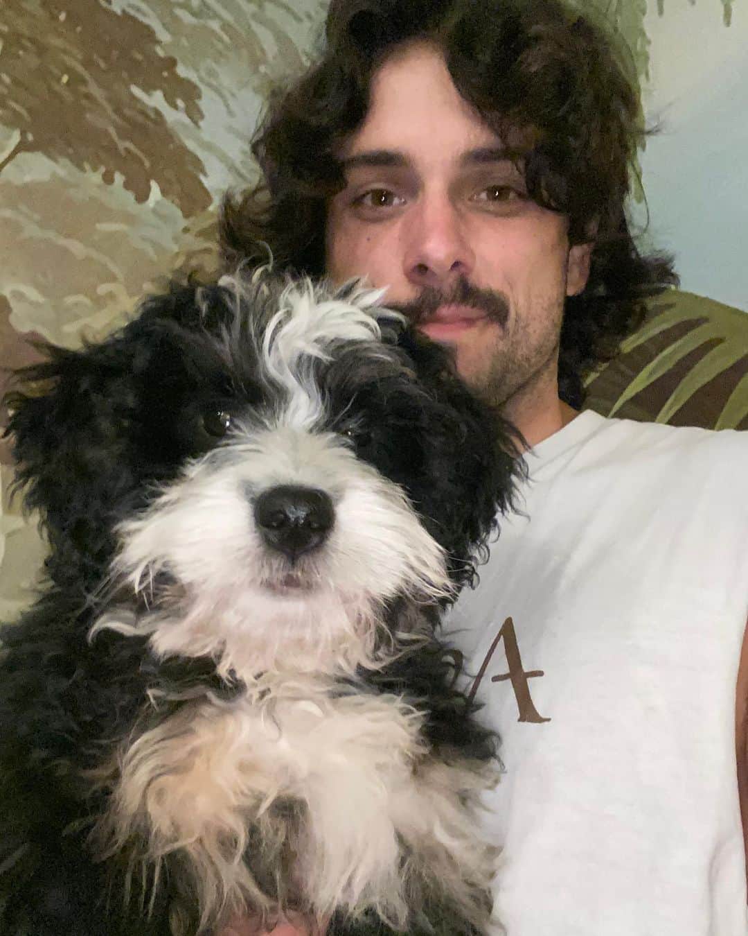 ジャック・ファライーのインスタグラム：「Bowery wants you to know your voting rights. Swipe to read, and find more info about the rules in your state at votesaveamerica.com/states 🐶」