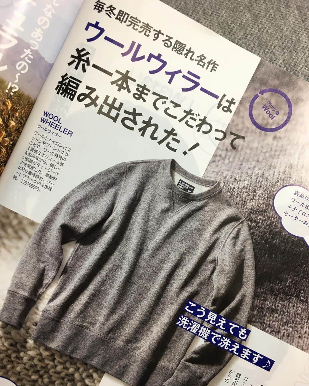 ループウィラーのインスタグラム
