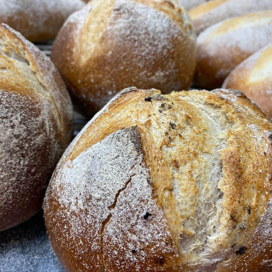 魔女菅原のグルメインスタ