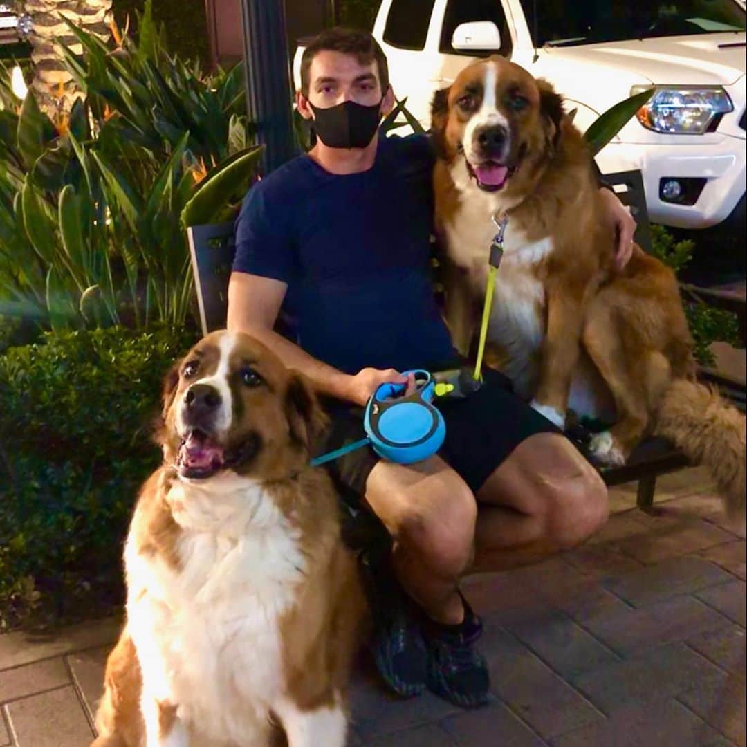 クリス・クニエリムのインスタグラム：「Just a man and his dogs. 🐶🐶」