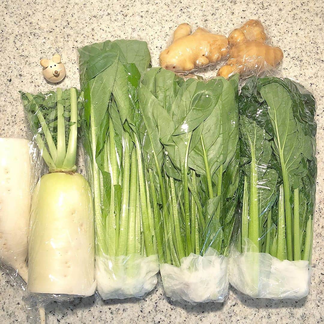榊山敬代さんのインスタグラム写真 - (榊山敬代Instagram)「🍠🥬🍄🎃… . 今週のはじまりは 食材買い出しの巻  ほうれん草さんが 美人すぎる輝きに ２袋連れてかえる  大根はカワイイサイズにて さつまいもは立派サイズで  遠近感がおかしくなりますとき  お塩もかれこれ数年以上愛用していて 特におにぎりに用いると大変美味しい 今回はポイントでお得にゲットできて  ラッキーな日  ２枚目の画像は  葉物を野菜室へ入れる前のひとコマ 袋から出して根元を清めてペーパー で保湿してラップに包んで準備完了  このひと手間がお野菜長持ちするどころか 数日後はピーんと元気になってるよろこび  右から #雪菜 #ホウレンソウ #小松菜 🥬…  ３枚目の画像は 　 水菜さんの保管方法のひとコマ　 刻んで野菜洗浄して水切りして タッパなどに収めて待機完了也  こうしておきますと 数日はシャキシャキ 使いたい時に使えて 便利なアイテムなり  少し未来の自分が楽になる様に 今を工夫するのはたのしいとき  ところで  昨日は11月なのにあたたかくて 素足にショートブーツとケープ を半袖のワンピースに羽織って ちょうどいい気候でありました  このような気候もなんだか ワクワクするひとコマの巻 ・ ・　 🍁👗👢. #秋満喫 … ・ ・ ・ #秋大好き #Autumn #食欲の秋 ・ ・ ・ #秋 #autumn #vegetable  #さつまいも #Sweetpotato #大根 #生姜 #Ginger  #カボチャ #pumpkin #spinach #ほうれん草 #ゴボウ #beautiful #artist #kitchen #cooking #日本画家 の #お料理こんなもん#green」11月3日 12時29分 - sakakiyamatakayo