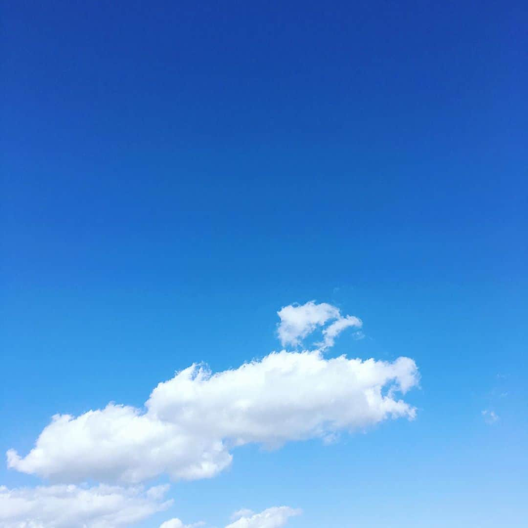 平野由実のインスタグラム：「空が開けているところは気持ちがいい☀️  #青空 #空 #sky #雲 #秋空 #秋晴れ #秋晴れの青空 #☁️ #☁️☁️☁️」