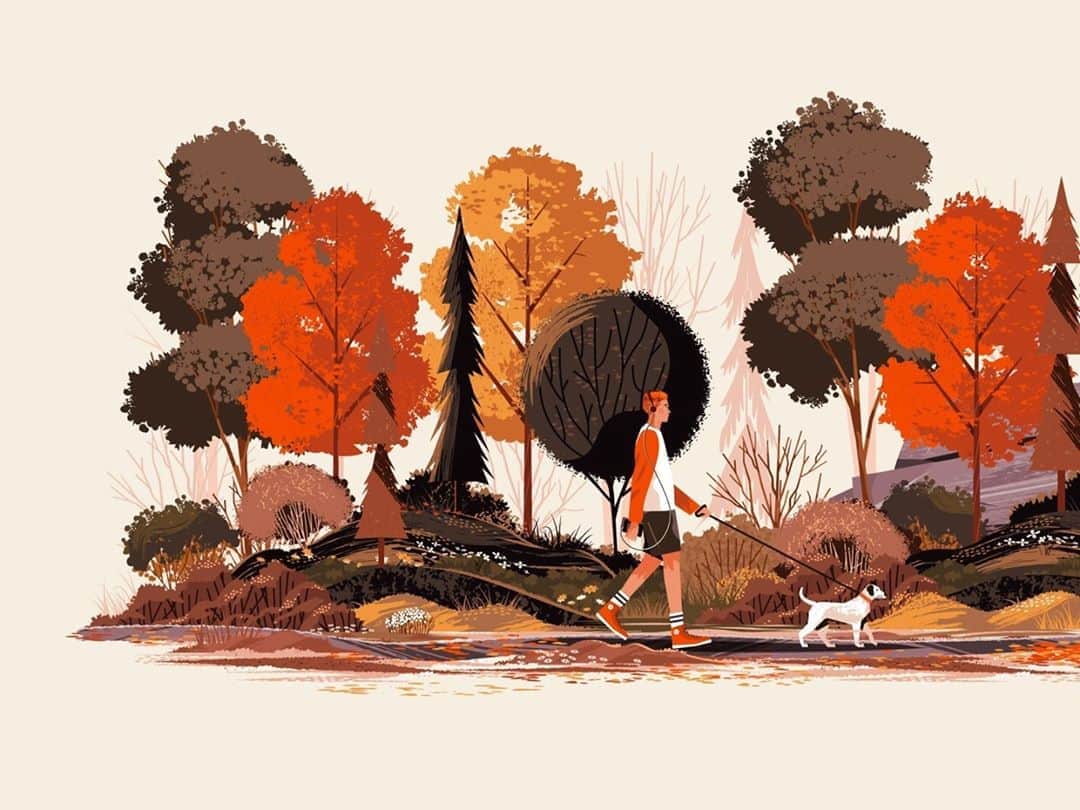 Dribbbleさんのインスタグラム写真 - (DribbbleInstagram)「Fall Foliage by Matt Carlson ⠀ ⠀ #dribbble #design #fall #autumn #illustration #illustrator #dribbblers」11月3日 12時53分 - dribbble
