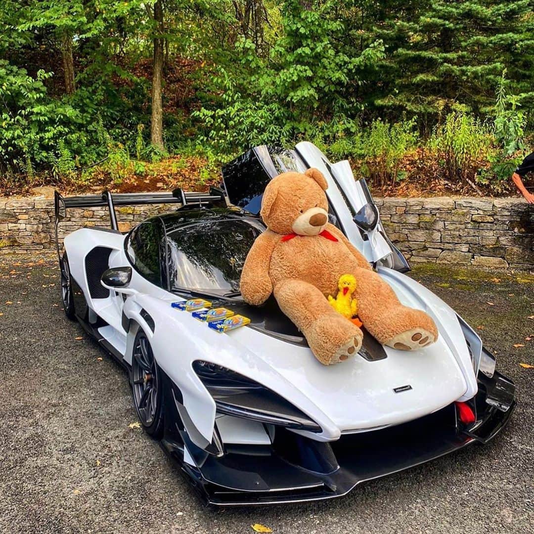 CarsWithoutLimitsさんのインスタグラム写真 - (CarsWithoutLimitsInstagram)「Doesn’t really get much better than this @bert_the_bear x SENNA GTR 🧸 Photo @sparky18888   #carswithoutlimits #mclaren #senna #gtr」11月3日 12時51分 - carswithoutlimits