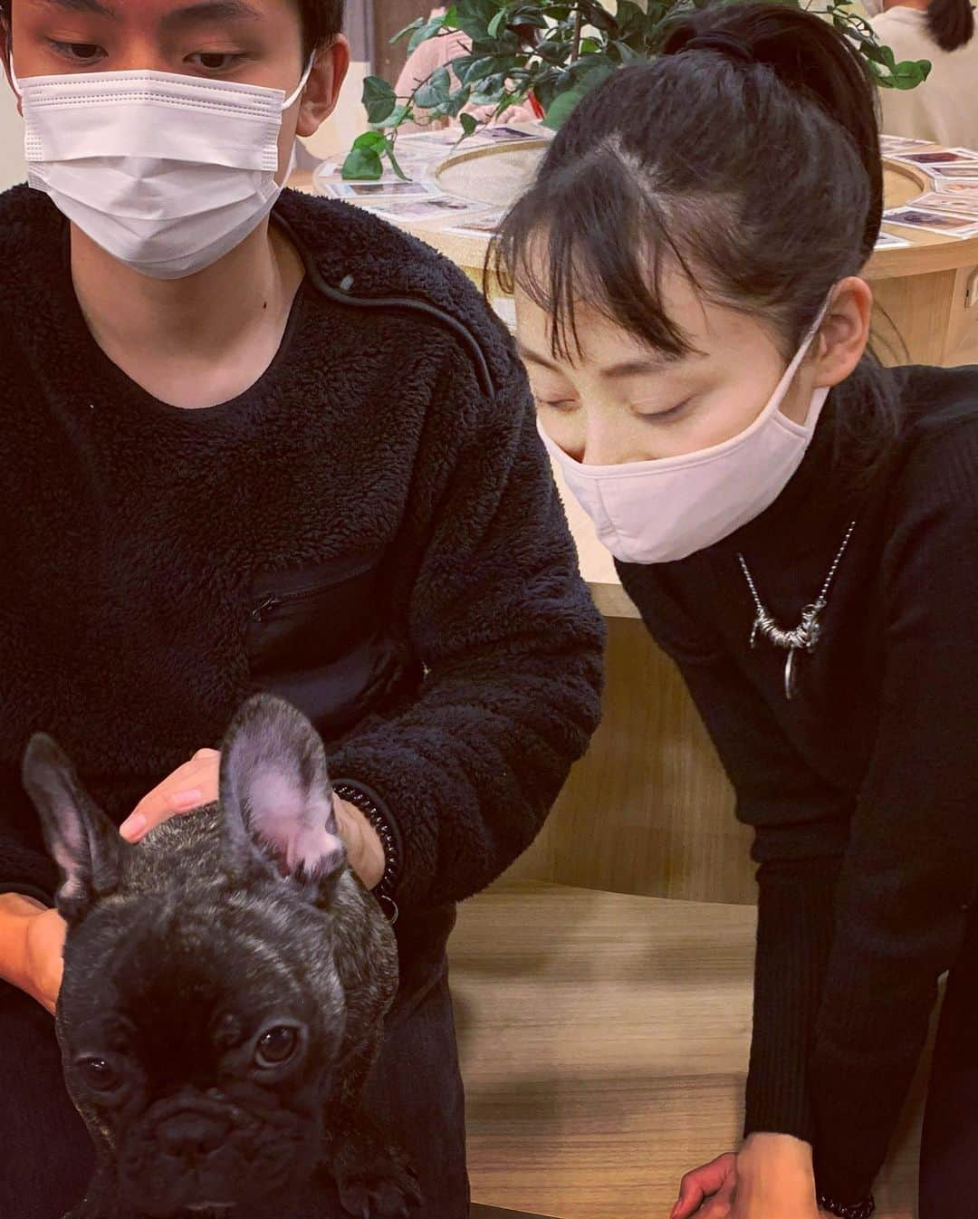 小池ジョアンナさんのインスタグラム写真 - (小池ジョアンナInstagram)「私は２回目の、犬カフェ🐶へ💕  家族みんなは初めて、連れていきました♪  久しぶりに会うわんちゃん達もいて 相変わらず元気いっぱいで 可愛かったぁぁ🥰😍  我が家には猫のにゃんすけがいるので、 やっぱりにゃんすけが1番だ〜 なんてみんなで話してたけど 確かににゃんすけは鬼可愛いから 否めない❣️笑  …けど、私はやっぱりわんちゃんも好きだなぁ〜😍💓  何故かママは、犬たちに圧倒的に大人気でした😮💓🐕🐩🦮笑  #犬カフェ #dogcafe #dogs #cutedogs #cutedogsofinstagram #犬カフェrio」11月3日 13時14分 - joan711