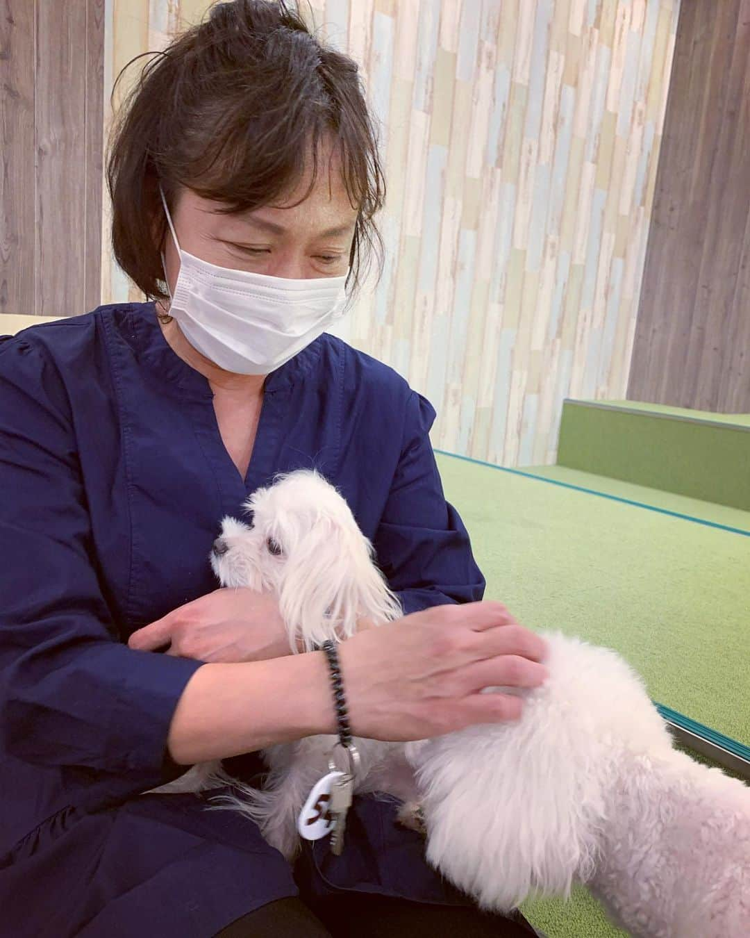 小池ジョアンナさんのインスタグラム写真 - (小池ジョアンナInstagram)「私は２回目の、犬カフェ🐶へ💕  家族みんなは初めて、連れていきました♪  久しぶりに会うわんちゃん達もいて 相変わらず元気いっぱいで 可愛かったぁぁ🥰😍  我が家には猫のにゃんすけがいるので、 やっぱりにゃんすけが1番だ〜 なんてみんなで話してたけど 確かににゃんすけは鬼可愛いから 否めない❣️笑  …けど、私はやっぱりわんちゃんも好きだなぁ〜😍💓  何故かママは、犬たちに圧倒的に大人気でした😮💓🐕🐩🦮笑  #犬カフェ #dogcafe #dogs #cutedogs #cutedogsofinstagram #犬カフェrio」11月3日 13時14分 - joan711