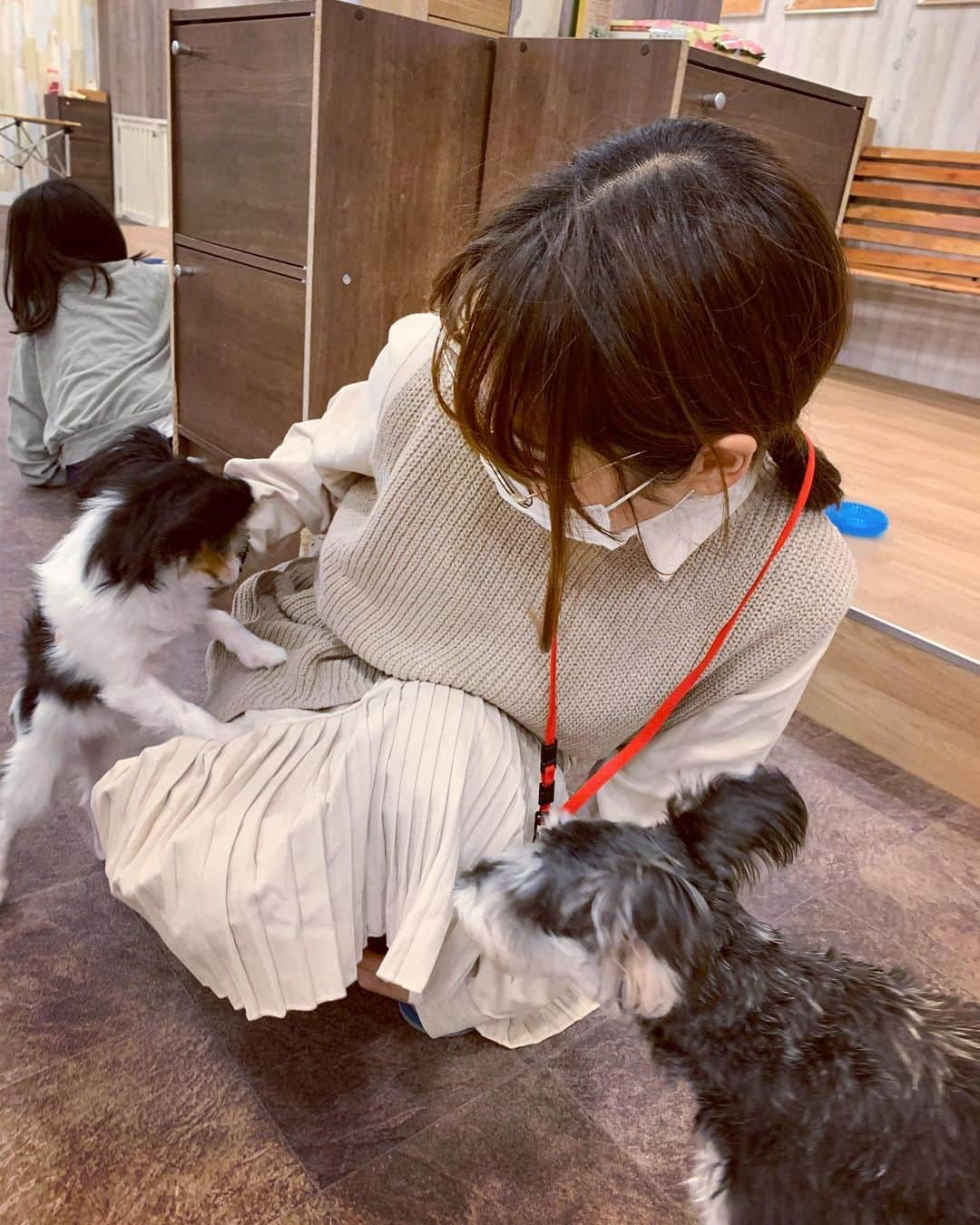 小池ジョアンナさんのインスタグラム写真 - (小池ジョアンナInstagram)「私は２回目の、犬カフェ🐶へ💕  家族みんなは初めて、連れていきました♪  久しぶりに会うわんちゃん達もいて 相変わらず元気いっぱいで 可愛かったぁぁ🥰😍  我が家には猫のにゃんすけがいるので、 やっぱりにゃんすけが1番だ〜 なんてみんなで話してたけど 確かににゃんすけは鬼可愛いから 否めない❣️笑  …けど、私はやっぱりわんちゃんも好きだなぁ〜😍💓  何故かママは、犬たちに圧倒的に大人気でした😮💓🐕🐩🦮笑  #犬カフェ #dogcafe #dogs #cutedogs #cutedogsofinstagram #犬カフェrio」11月3日 13時14分 - joan711