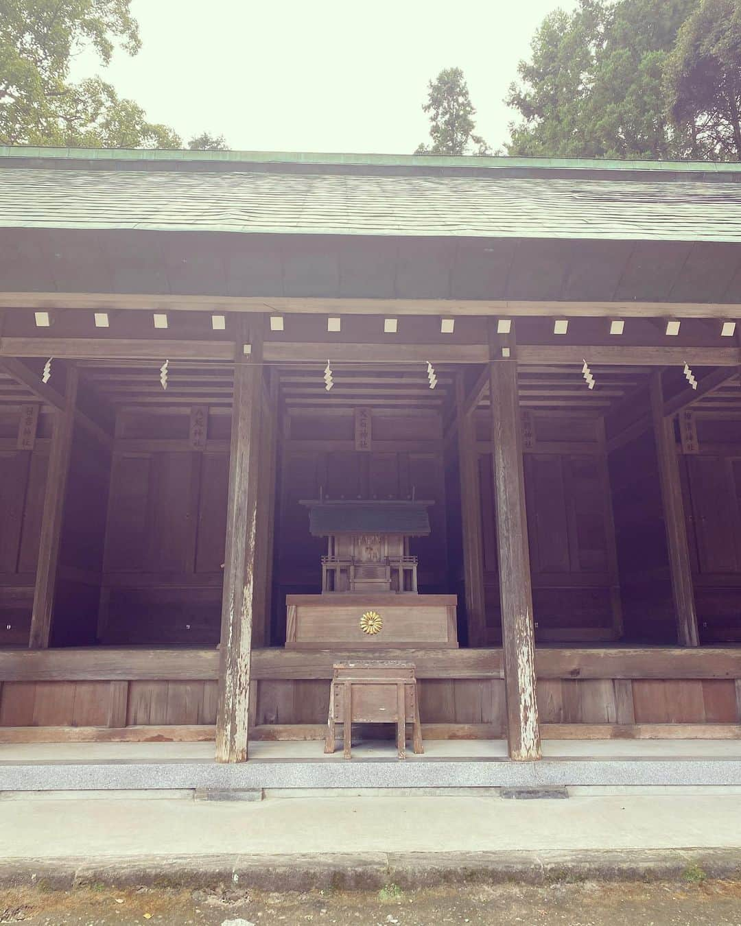 SHOCK EYEさんのインスタグラム写真 - (SHOCK EYEInstagram)「御賽銭はその神社や木々を管理維持するためにも使われてる、、 そう考えると、 ただの、 ご縁（５円）ではなくて、 良いご縁（１１５円）があると嬉しいよね😊✨  追記: コメントくれた皆さんのアイデア👍✨ 良いご縁（４１５円） 十二分にご縁（１２５円）  などなど。 そういう語呂遊びが神社を救う、って素敵👍✨  #助け合い #御賽銭 #神社 #shrinegram #shrine」11月3日 13時18分 - shockeye_official