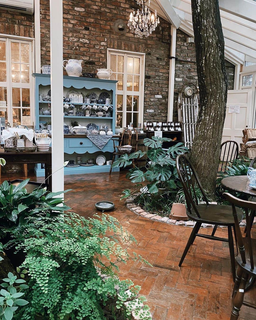 白澤貴子のグルメインスタ