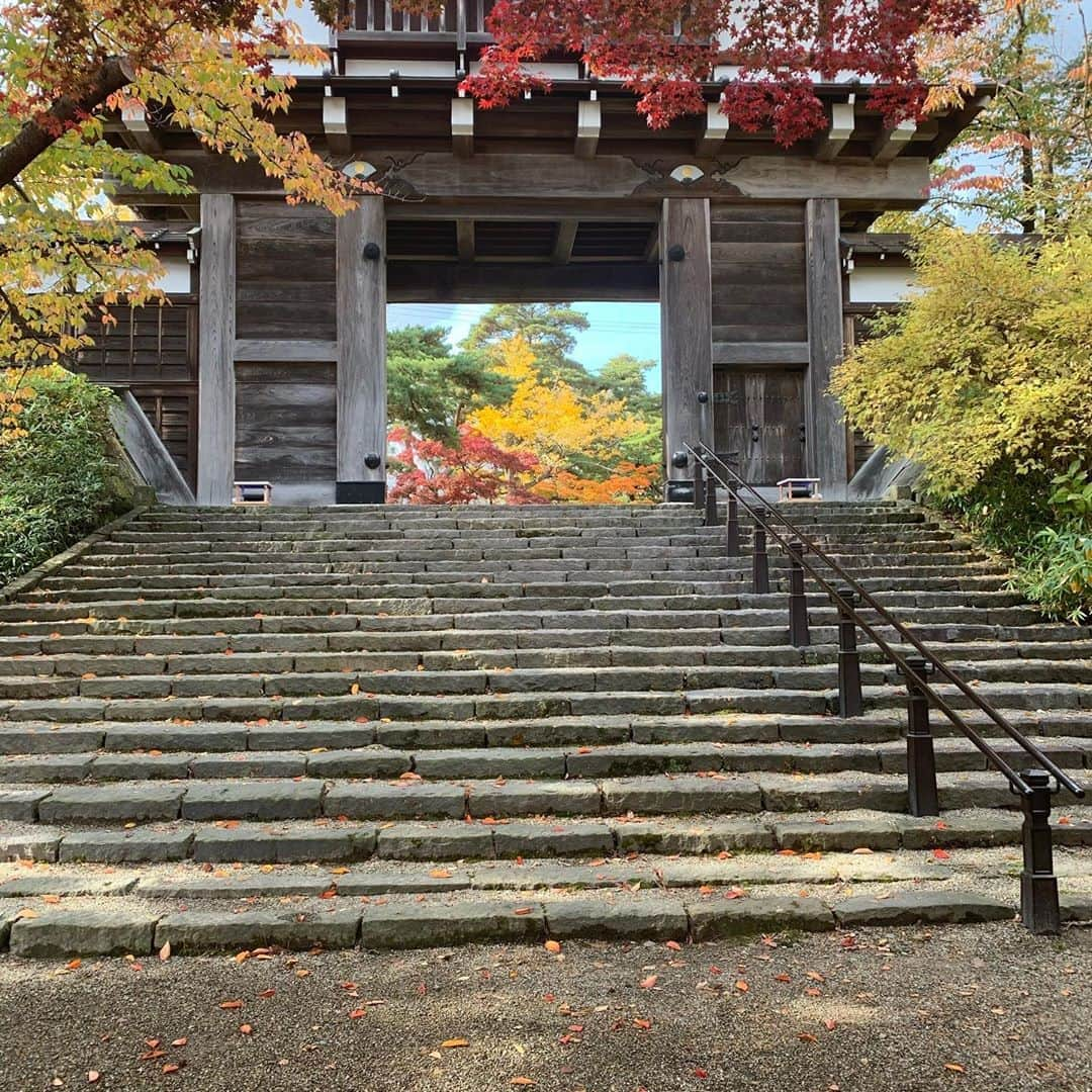 佐藤真理子のインスタグラム：「紅葉。  #紅葉 #美しい景色  #美しい風景  #都会の喧騒から離れて  #都会の喧騒を忘れる  ##都会の喧騒を離れるシリーズ  #綺麗な景色  #綺麗な景色に癒される  #綺麗な景色大好き  #紅葉狩り  #紅葉🍁  #別荘 #田舎暮らし  #田舎の風景  #田舎の景色  #もみじ  #イチョウの葉  #スローライフ  #スローライフを楽しむ  #空気が綺麗  #秋の空  #秋の空気」