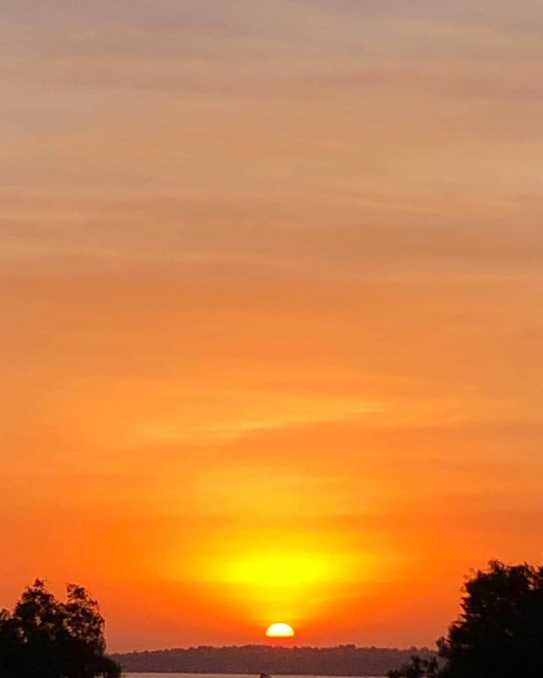 メアリー・マクドネルのインスタグラム：「As the sun goes down think about your beautiful devotion , your steadfast learning , your conversations , your prayers , your nail biting , wine drinking , hoping , screaming , calming and getting your strength back 4 years !! you got this America . You are beautiful  Almost home #VOTE2020. #LOVE」