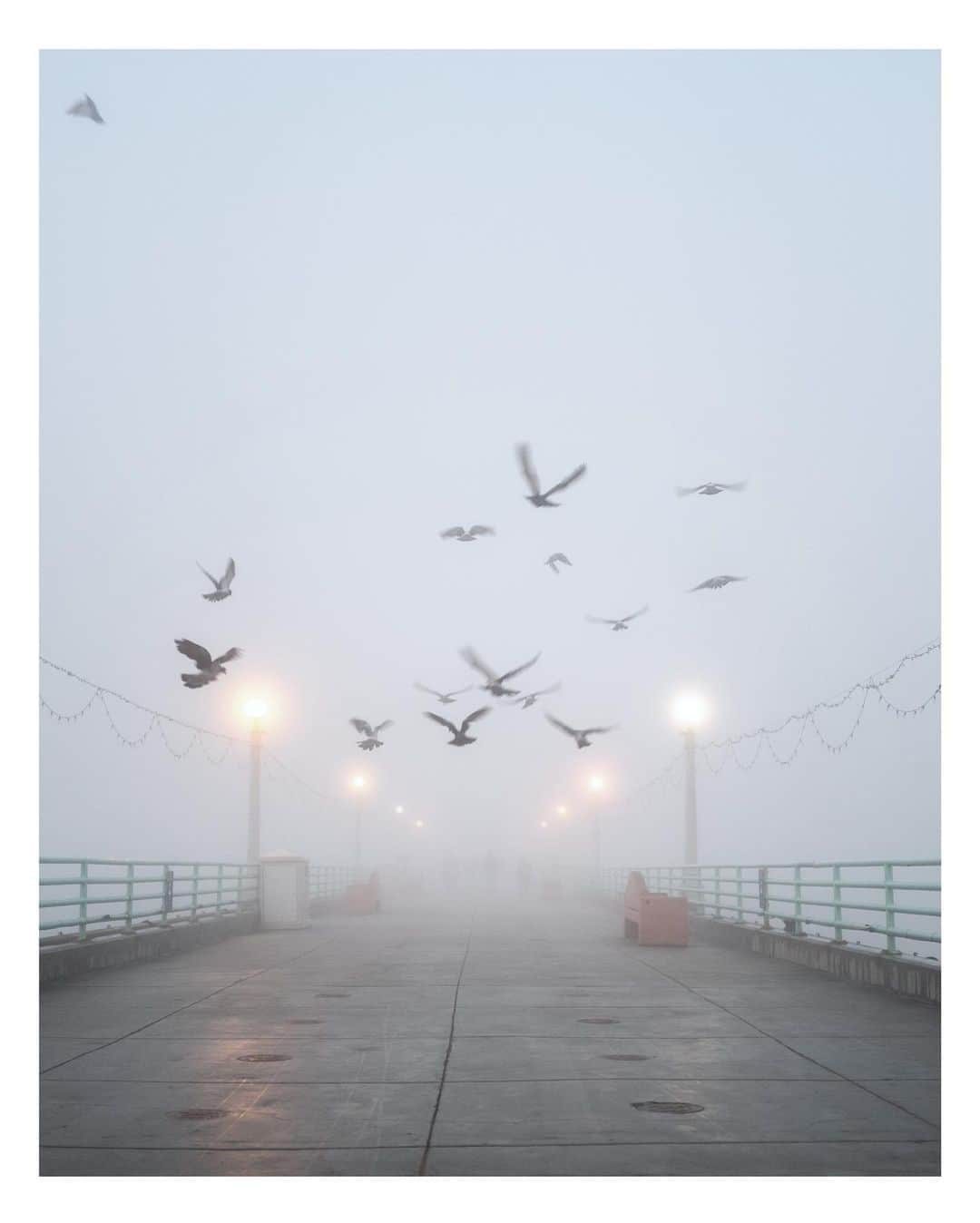 Pete Halvorsenのインスタグラム：「Foggy mornings on the coast...  👉🏻swipe for more 👀  . Leica Q2 / Leica CL」