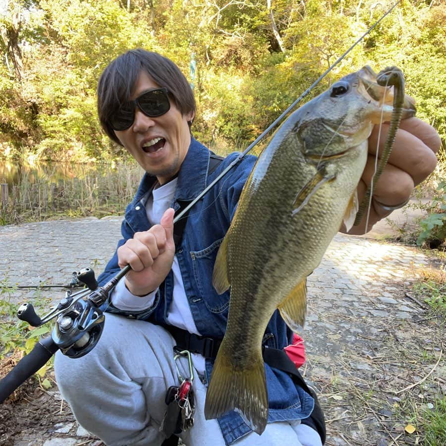 のインスタグラム：「癒しの釣り😊  【Megabass】 トーナメントクロウラー4.5 【KANJI international】 drop shot2.7g 【RYUGI】 インフィニ2番  癒しの釣りええやんかぁ〜💁‍♂️  #megabass #メガバス  #ベイトフィネス  #levante #レヴァンテ  #kanjiinternational  #カンジインターナショナル #dropshot #ダウンショット  #ダウンショットリグ  #ryugi #リュウギ #インフィニ #バス釣り #バスフィッシング #ええやんかぁ」