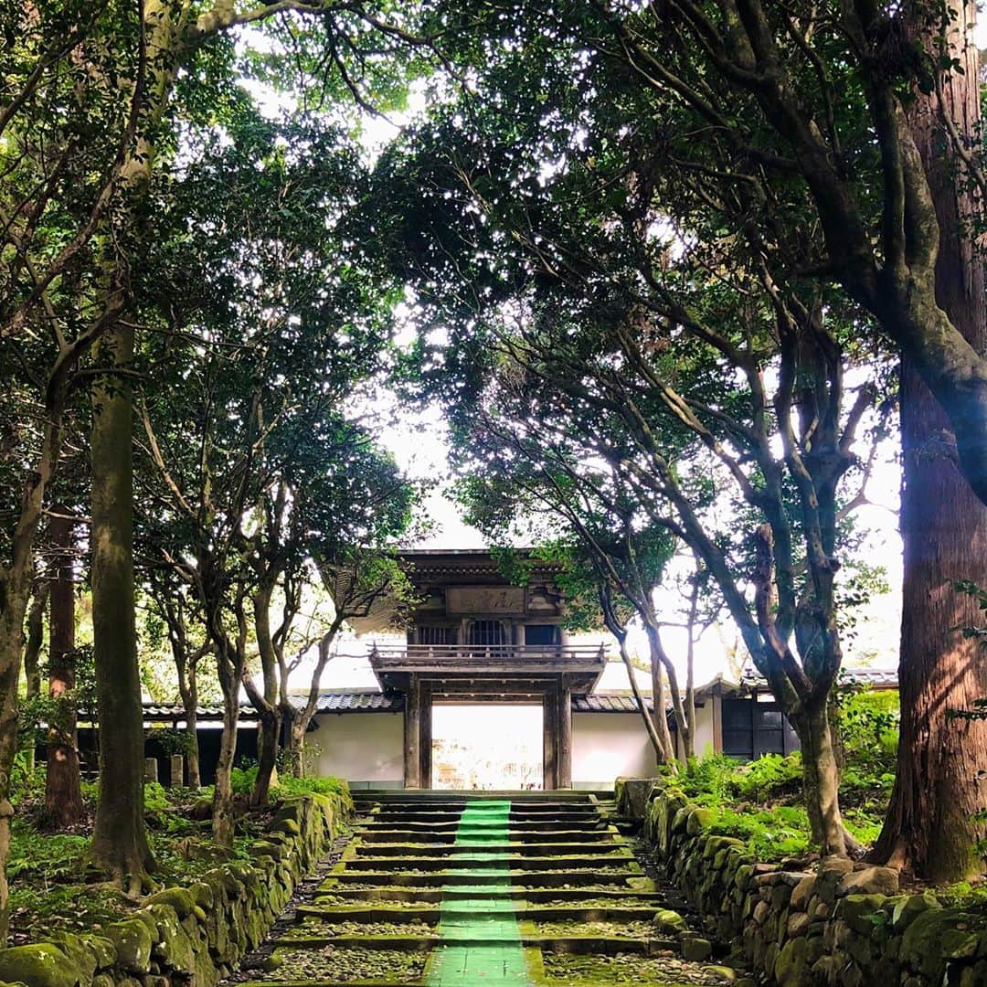 望月律子さんのインスタグラム写真 - (望月律子Instagram)「福井と石川へ。 土曜日から2泊で旅行へ。 ゆっくりできていい旅でした。 最後の写真の温玉ソフトにハマりました。 #東尋坊 #白山比咩神社 #温玉ソフト #ゆっくり歩いて #ゆっくり温泉に入って #美味しい物を食べる #久々の旅行 #リフレッシュ」11月3日 14時45分 - ritsukomochizuki