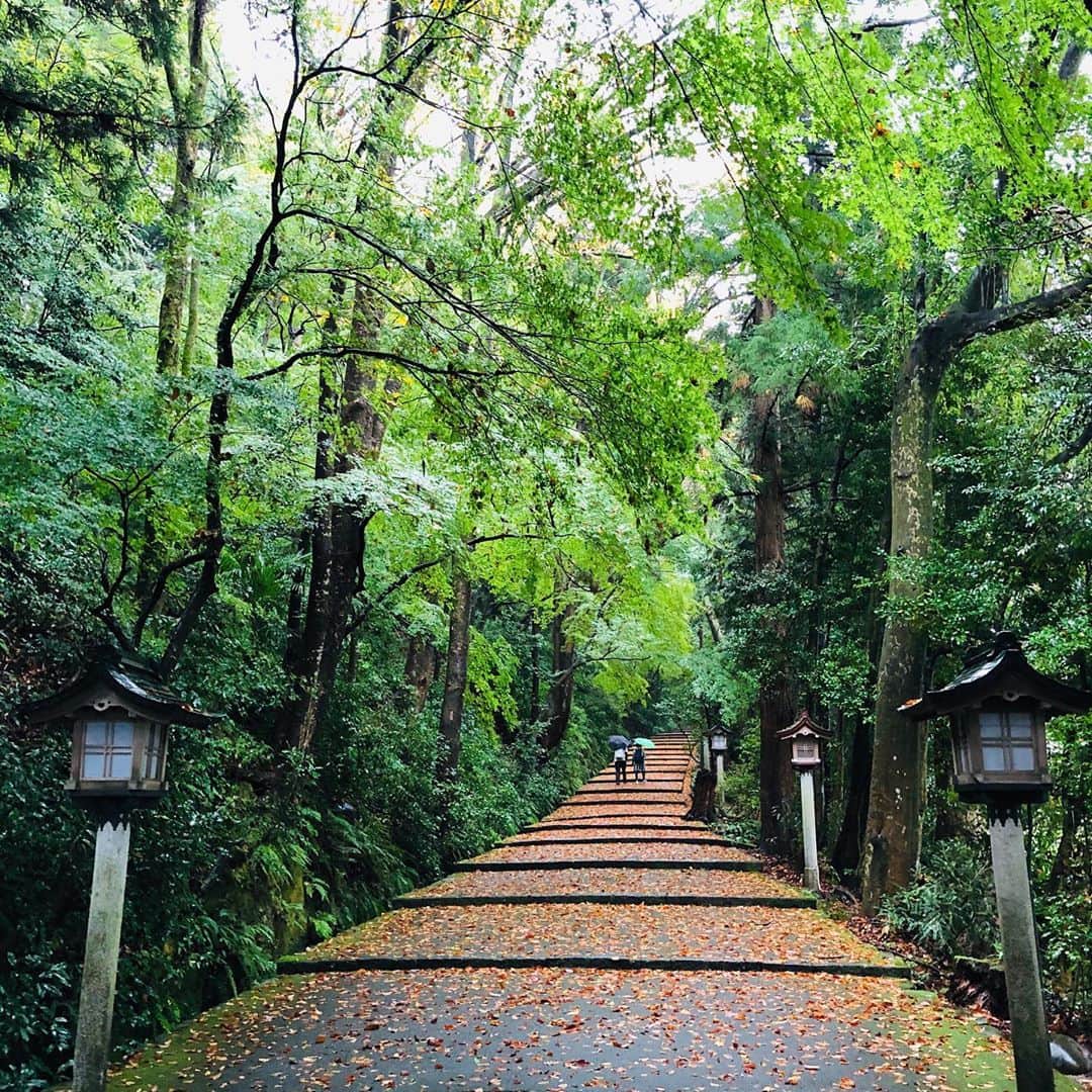 望月律子さんのインスタグラム写真 - (望月律子Instagram)「福井と石川へ。 土曜日から2泊で旅行へ。 ゆっくりできていい旅でした。 最後の写真の温玉ソフトにハマりました。 #東尋坊 #白山比咩神社 #温玉ソフト #ゆっくり歩いて #ゆっくり温泉に入って #美味しい物を食べる #久々の旅行 #リフレッシュ」11月3日 14時45分 - ritsukomochizuki