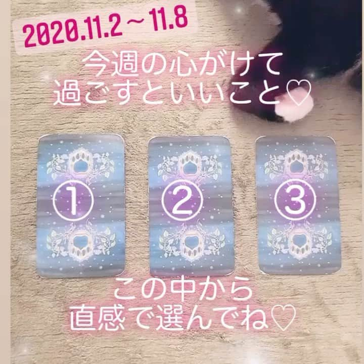 岩政久美子のインスタグラム：「2020.11.2〜11.8 今週心がけて過ごすといいこと♡  少しずつポジティブになれる心と身体づくりしていきやしょう😼🌟  #占い #運勢  #占い師  #ポジティブ」