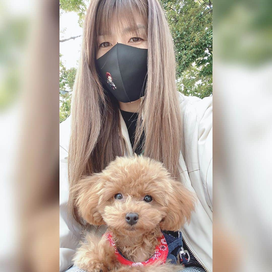 吉田沙保里さんのインスタグラム写真 - (吉田沙保里Instagram)「あっという間に今日で6ヶ月🐶♥️ 体重も1.2キロになりました😆 相変わらず、外は歩いてくれませんが、元気でいてくれる事が一番嬉しいです😉✨ #リリー #6ヶ月 #トイプードル #女の子」11月3日 15時35分 - saori___yoshida