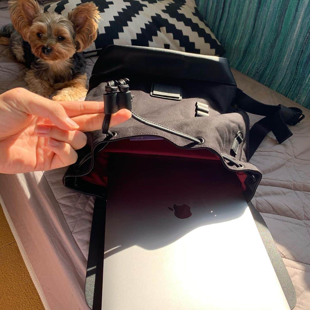 のインスタグラム：「GASTON LUGAのプローペルブラック💼  YouTube用品などをまとめとけるし、大学生にも使いやすいかも！！  公式サイトで15%offディスカウントコード:  daichi0055　(期限なし)  公式オンラインストア　http://gastonluga.com  @gastonluga   送料無料/返送料無料です！  #GastonLuga #ガストンルーガ #バックパック  キャンペーン情報↓ ----------  Gaston Lugaでは、キャンペーン中に鞄をお買い上げ頂いたお客様に数量限定でBörsウォレットをプレゼント致します。このお得な機会をお見逃しなく！🇸🇪  ---------」