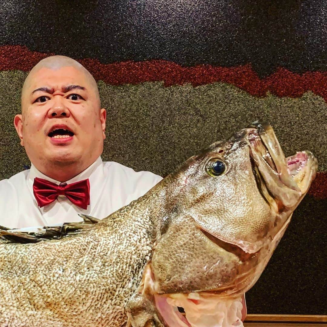  WATANABETAKAYOSHIさんのインスタグラム写真 - ( WATANABETAKAYOSHIInstagram)「See this!same face!  I Love this fish」11月3日 16時36分 - teruzushi