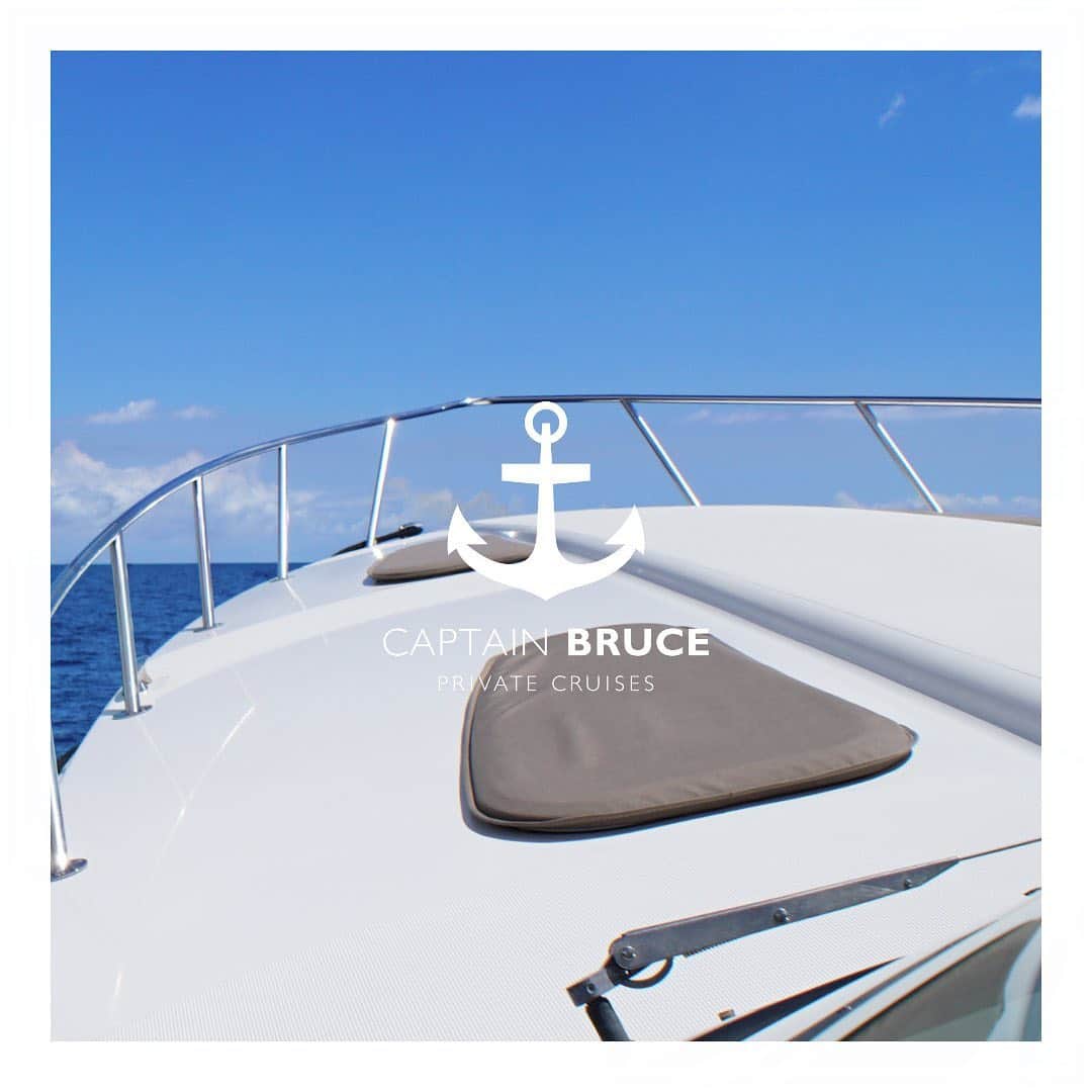Luxury Cruise by Captain Bruceさんのインスタグラム写真 - (Luxury Cruise by Captain BruceInstagram)「コオリナの海で遊ぶ。⁠⠀ ⁠⁠⠀ ボートに乗って海へ出ると、イルカの群れが遊びに来たり、広い海の上にフワフワしているカメさんに出会ったり。⁠⠀ ⁠⠀ そう言えば、クジラがハワイにやってくる季節が近づいてきましたね💙⁠⠀ ⁠⠀ ⁠⠀ 　⁠⠀ #captainbruce ⚓ #privatecharter #yachtcharter #boatcharter #aloha #koolina #cruising #vacation #travel #hawaii #ocean #snorkel #oahu #blueOcean #qualityTime #ahuihou #havealohawilltravel #hawaiiinstagram #キャプテンブルース #プライベートクルーズ #コオリナ #ハワイ」11月3日 16時53分 - cptbruce_hi