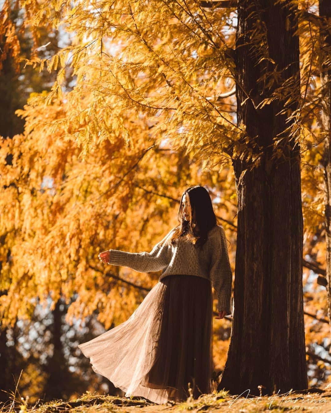 遥南碧さんのインスタグラム写真 - (遥南碧Instagram)「赤と黄に色付く葉っぱと 広く大きな青空  3原色が揃う埼玉の紅葉スポット🍁 #あけぼのこどもの森公園  これは去年の写真ですが 今年も行きたい！ * * * #何気ない日常の物語 をモチーフに 東京拠点で #被写体募集 しているので #邦画の彼女感 に 興味がある方はお気軽に ご連絡ください。  モデルのファッション撮影や アイドルのグラビアなど 一緒に作品撮り出来る ヘアメイク 、スタイリスト も募集中✨  案件やコラボのお誘いは お気軽にコメント、DMください！ * * * # #いいね返しは絶対 #ファインダー越しの私の世界 #ムーミン谷 #ムーミンバレーパーク #粉我 #フィルム好きな人と繋がりたい #フィルム寫眞 #幸せな瞬間をもっと世界に #좋아요반사 #関西写真部SHARE #人像攝影 #儚くて何処か愛おしい様な #紅葉 #埼玉観光 #インスタスポット #東京カメラ部 #japanesegirl #패션스타그램 #into_the_screen #as_archive  #photogram_archive  #jp_portrait部 #film_jp #japantravel #photo_life_best  #good_portraits_world」11月3日 16時59分 - harunaoi_photo