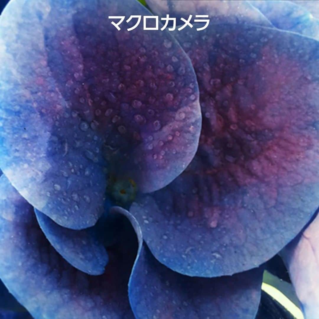 Galaxy Mobile Japanのインスタグラム