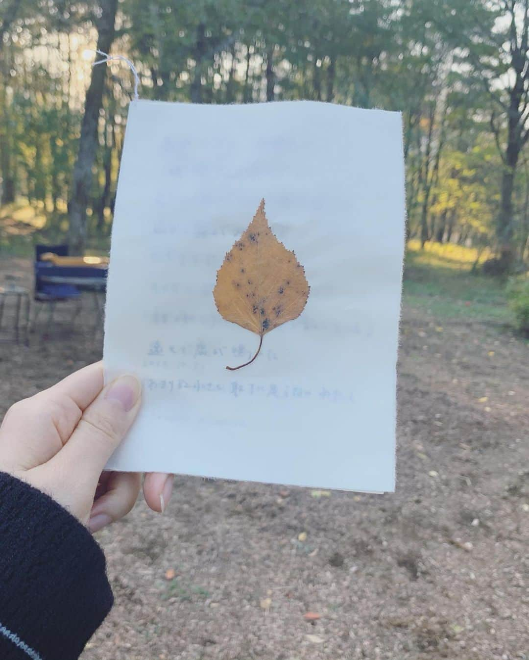 山本真由美さんのインスタグラム写真 - (山本真由美Instagram)「. .  森の演奏会🐿🍂葉っぱの招待状。 . ヴァイオリン、トイピアノ、カンテレ。 パチパチと火が爆ぜる音、鳥や虫の声、風の音、子供の笑い声、草刈りの音ですらすべて一部になって溶け込む不思議。耳を澄ませて全てが受け入れられていく空間。木立の間を太陽が動いていく。絵本の中にいるような時間でした🎻😌 「森に包まれて」takanoriniimura  . . #piano #violin #forest  #concert #森 #bird  #decobotanical  #甲斐駒ヶ岳　#八ヶ岳　#富士山　　 #mtfuji #mountain #nature  #japan #nagano #yamanashi  #trip #stay #長野 #山梨　 #望遠鏡　#likeforlikes #snow  #season #onsen #sauna  #music #絵本 #ビスキューイ #chocolate」11月3日 17時05分 - mayumi_yamamoto.official