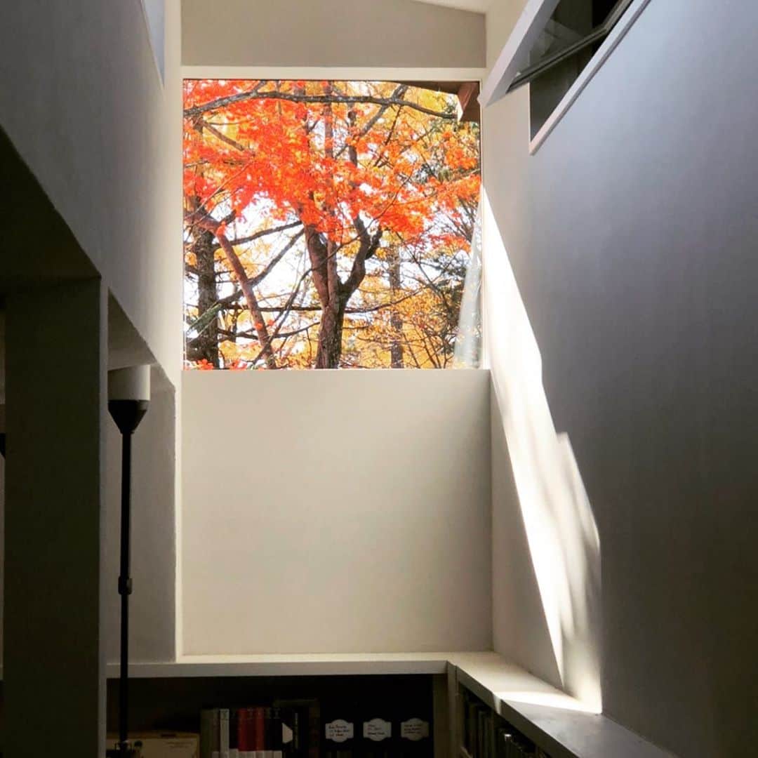 高橋幸宏さんのインスタグラム写真 - (高橋幸宏Instagram)「階段からの窓。 #window」11月3日 17時16分 - room66_yukihiro