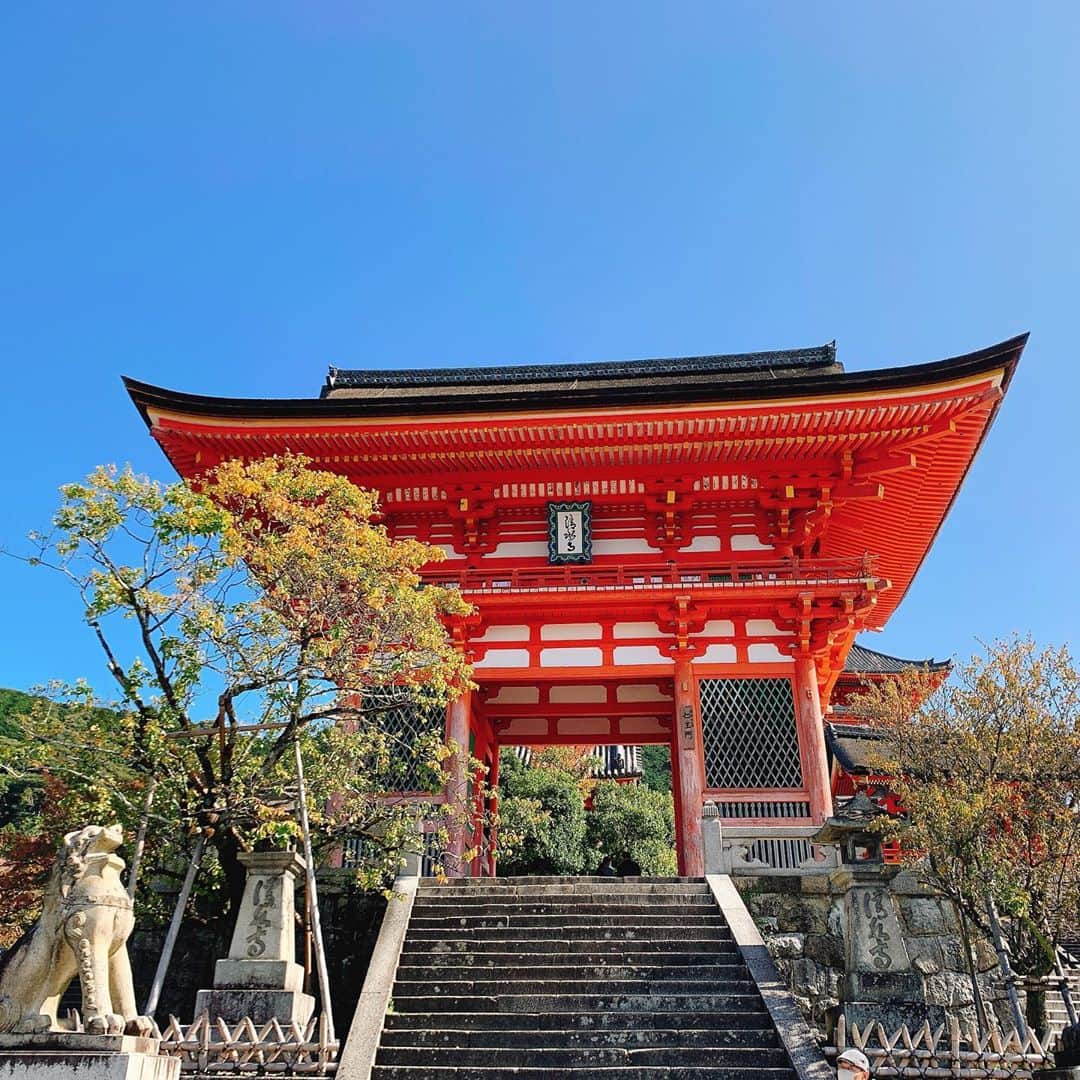 日高大地のインスタグラム：「ちょっと寄り道して京都へ。﻿ お久しぶりな八坂神社と清水寺😊﻿ 凄い良きお天気で赤と青のコントラストが最高に綺麗✨﻿ ﻿ #京都#八坂神社#清水寺#⛩#japan#japantrip」