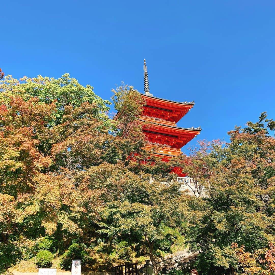 日高大地さんのインスタグラム写真 - (日高大地Instagram)「ちょっと寄り道して京都へ。﻿ お久しぶりな八坂神社と清水寺😊﻿ 凄い良きお天気で赤と青のコントラストが最高に綺麗✨﻿ ﻿ #京都#八坂神社#清水寺#⛩#japan#japantrip」11月3日 17時11分 - yoko92hidaka