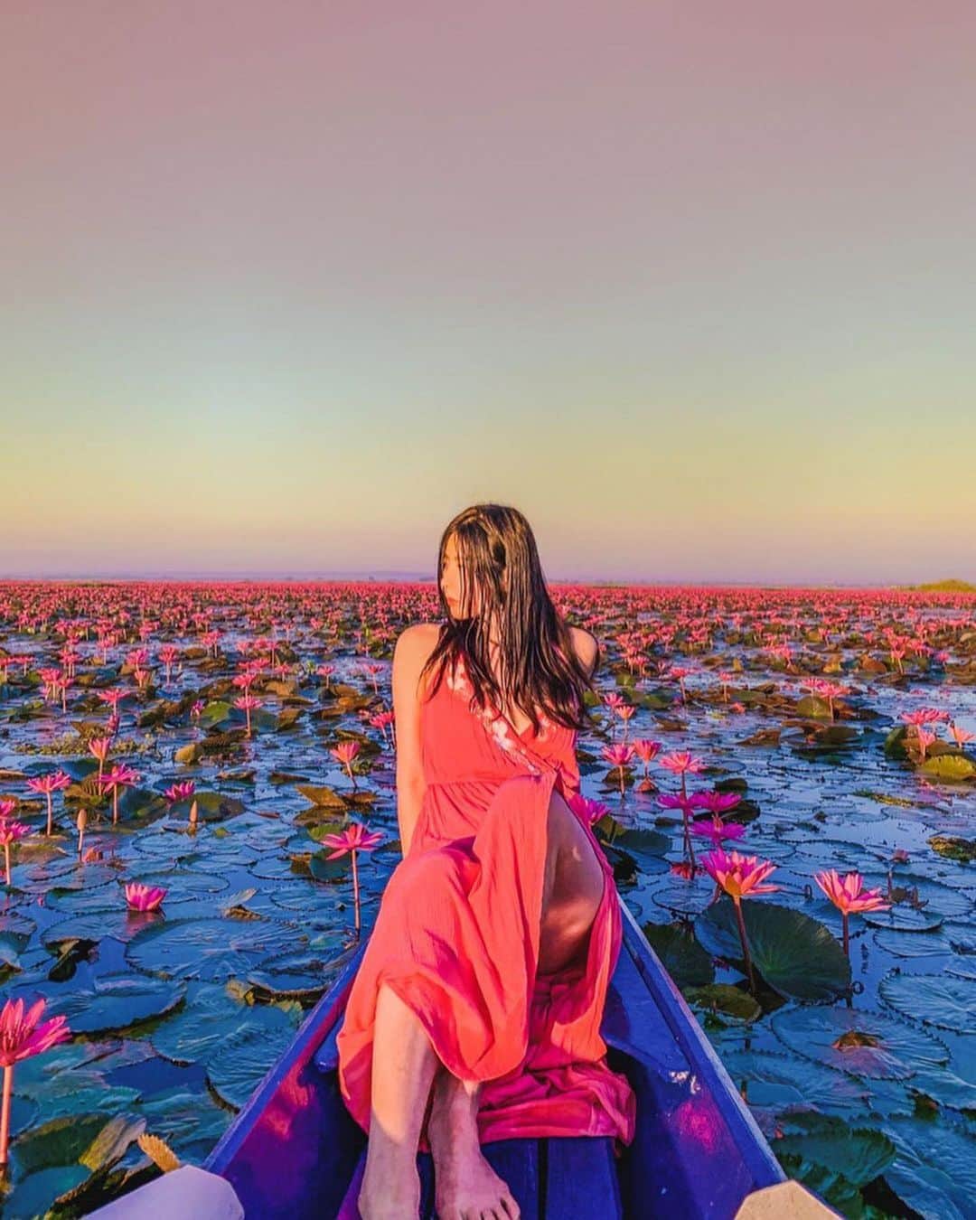 タイ国政府観光庁さんのインスタグラム写真 - (タイ国政府観光庁Instagram)「・﻿ ＼🇹🇭サワッディー・カー🇹🇭／﻿ ﻿ 今週の #こんなタイ知らなかった は、「クンパワピー(紅い睡蓮の海）」での一枚📸✨﻿ ﻿ 朝焼けのなか咲き誇る睡蓮が、とっても幻想的ですね…😌💕﻿ 「紅い睡蓮の海」と名付けられた湖「タレー・ブア・デーン(正式名称：ノーンハーン）」は、毎年12～2月上旬にかけての早朝、湖面が紅い睡蓮の花でいっぱいになります❤️﻿ ﻿ 満開の時期には、ボートで湖を周遊する観光客で賑わいます🚣﻿ ウドーンターニーを訪れた際は、ぜひ足を運んでみてください👍﻿ ﻿ @natsukioro さん、コップン・カー🙏✨﻿ ﻿ ・・・・・・・﻿ 今まで知らなかったタイの魅力を見つけたら、ハッシュタグ #こんなタイ知らなかった をつけて投稿して下さい🌸﻿ ﻿ こちらでご紹介させて頂くことがあります。皆さまからの投稿をお待ちしています😊﻿ ﻿ #repost #タイ #ウドーンターニー #イサーン #クンパワピー #紅い睡蓮の海 #タレーブアデーン  #幻想的な風景 #湖 #こんなタイ知らなかった #もっと知りタイ #旅好きな人と繋がりたい #旅行好きな人と繋がりたい #海外旅行 #女子旅 #タビジョ #thailand #udonthani #udonthanitrip #kumphawapi #nonghan #redlotussea #amazingthailand #thailandtravel #thailandtrip #thai #thaistagram #lovethailand」11月3日 17時13分 - amazingthailandjp