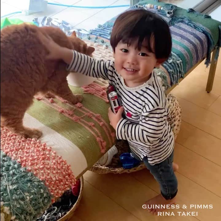 のインスタグラム：「03/11/2020 Happy Tuesday! ・ Today, Nagi is 1 year and 11 months old, and with only one month left, he will finally turn 2 years old👦🏻 With new words that he’s learning, Nagi is day by day growing up fast. ・ The video is a collection of brother Pimms’ and Nagi’s best most recent scenes, including lots of stroking and planting his face into Pimms’ soft fur. The last is in Japanese, but he recommends Pimms’ cat food as being "delicious! (oishii)" Lol. ・ May you safely reach the age of two, my dear boy. Have a great day everyone! ・ ・ 凪ねこ 今日で1歳11ヶ月になりました。 2歳まで残すところあと1ヶ月。 あっという間に大きくなってしまい 嬉しいしちょっと寂しい気分。 ここ最近は毎日新しい言葉を発したり成長が目まぐるしい！ 猫になるはずがどんどん人間になっていく凪ねこ。 当の本人は猫も人間も同じなのかもしれないけど😂 記念に恒例ではありますが、 最近のピム丸大好き動画集をpost。 最後はストーリーで好評だった ピム丸にキャットフードを「おいしいよ！」と勧める凪ねこ。笑 おいおい食べたのか？ 確かに一度口にした事はあったけど🤫 写真はハロウィン用に撮ったもの。 postする機会を逃したのでついでに。笑 とりあえず これからも健康に 毎日楽しく過ごしておくれ！ ・ ・ #ギネピムと凪くん  #1yearold #1歳 #1歳11ヶ月  #babyboy #男の子ベビー #赤ちゃんのいる生活 #赤ちゃんのいる暮らし #赤ちゃんと猫 #猫と赤ちゃん」