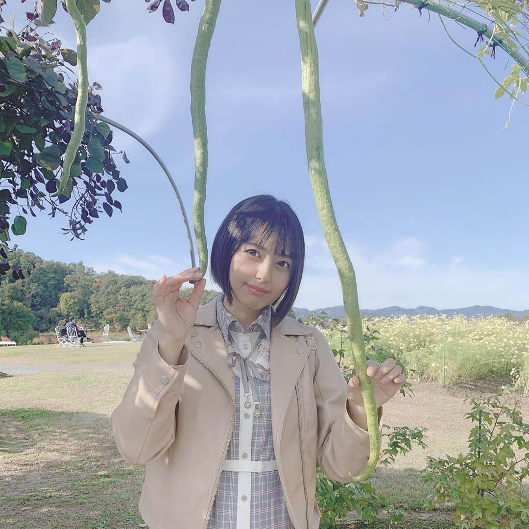 のインスタグラム：「・ ・ ヘビウリだって！！ ・ ・ ・ #ヘビウリ #長岡 #公園 #自然 #長岡映えスポット #新潟 #新潟観光 #長岡観光 #🐍 #niigata #nagaoka #followme #instagood #model #actor #被写体 #被写体モデル #空 #山 #田舎の風景 #田舎暮らし」